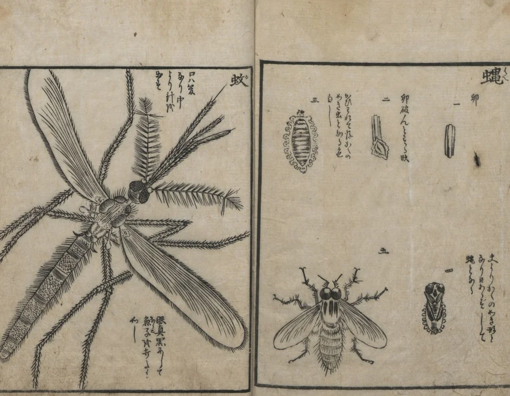 An illustration from Encyclopedia of Western Art (Kōmō zatsuwa 紅毛雑話) : [volume 3], 1787, leaf 21