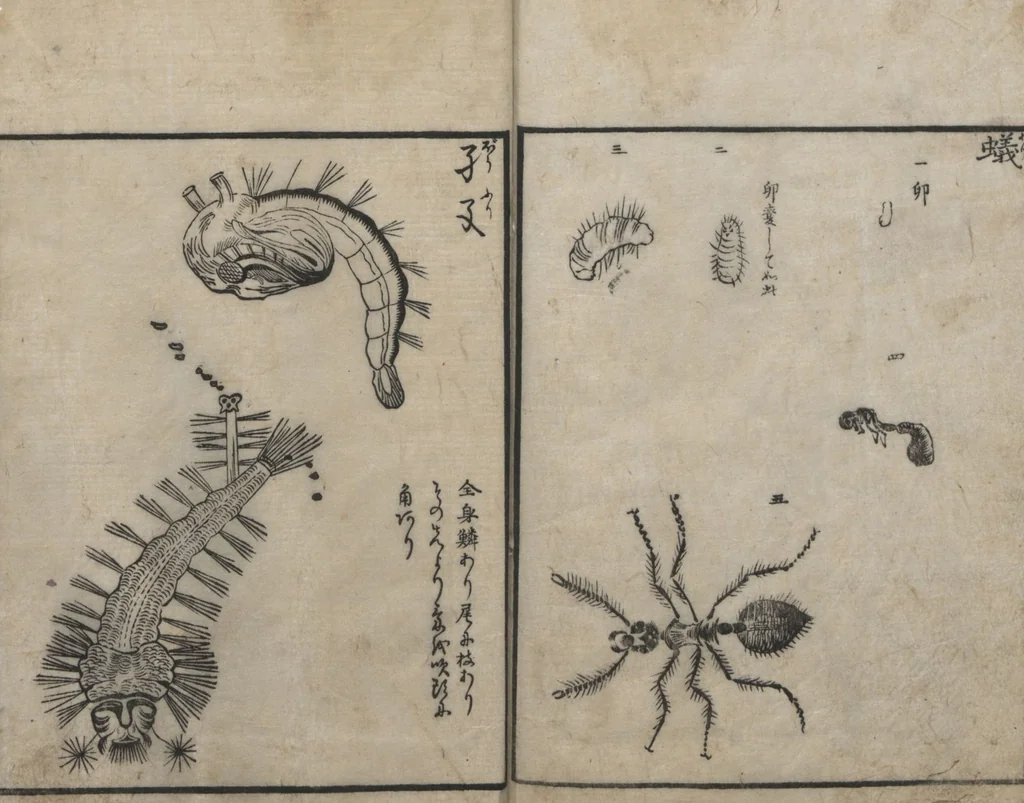 An illustration from Encyclopedia of Western Art (Kōmō zatsuwa 紅毛雑話) : [volume 3], 1787, leaf 22