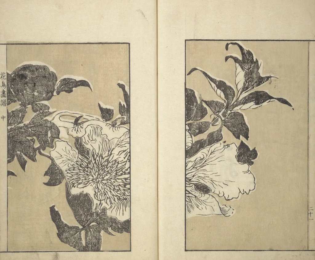 An illustration from Sō Shiseki Picture Album (Sō Shiseki gafu) : [volume 2], 1765, leaf 24