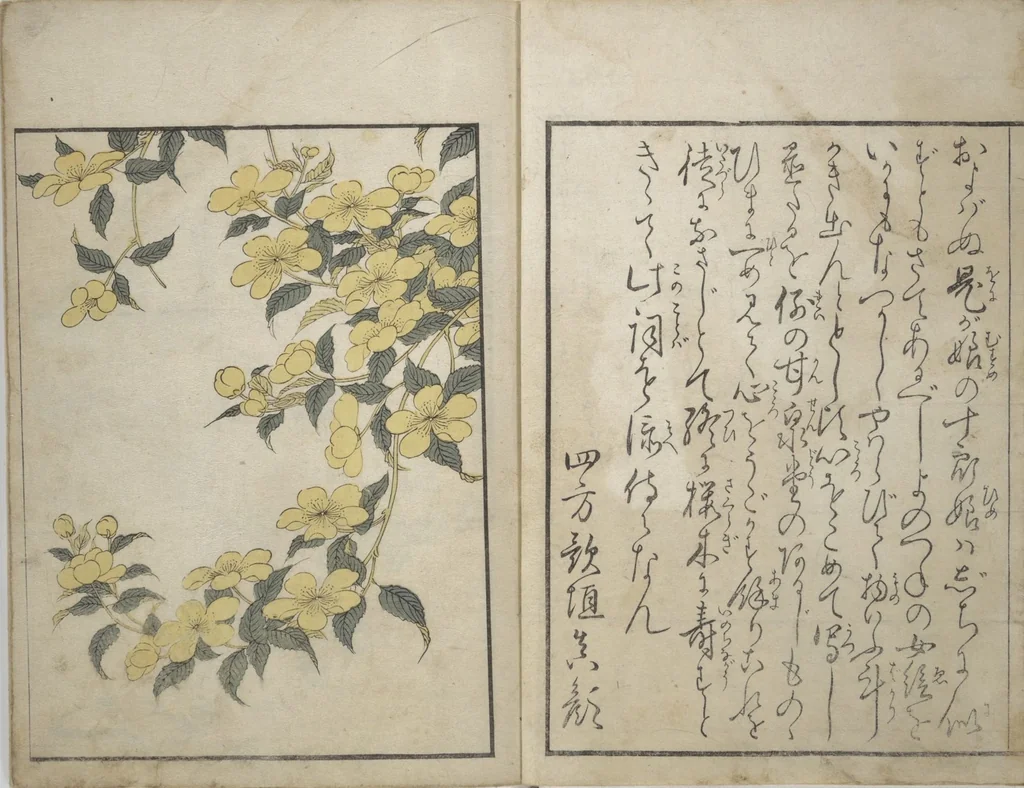 An illustration from Picture Book on Flowers of the Four Seasons (Ehon shiki no hana) : [volume 1], 1801, leaf 3