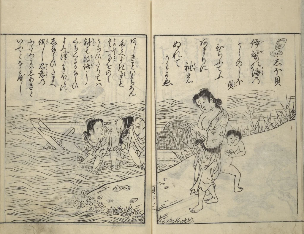 An illustration from Picture Book of Poems on Shells (Kyōkun chūkai ehon kai kasen) : [volume 3], 1748, leaf 5