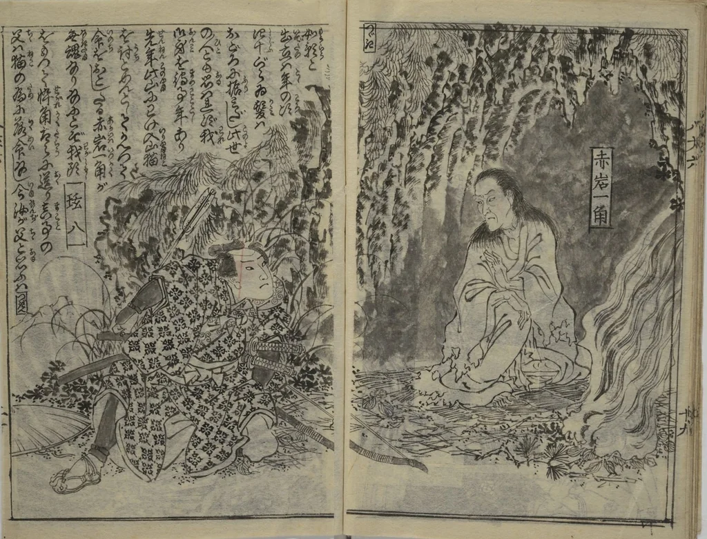 An illustration from Chaps. 4, 5 of Legends of the Dog Warriors (Hakkenden) : [volume 1], 1860, leaf 21