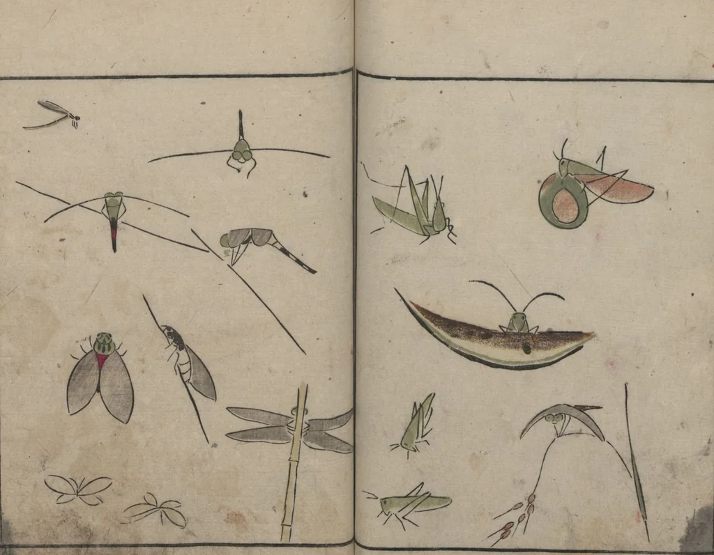 An illustration from Abbreviated Drawing Styles for Birds and Animals (Chōjū ryakuga shiki 鳥獣略画式), 1797, leaf 19