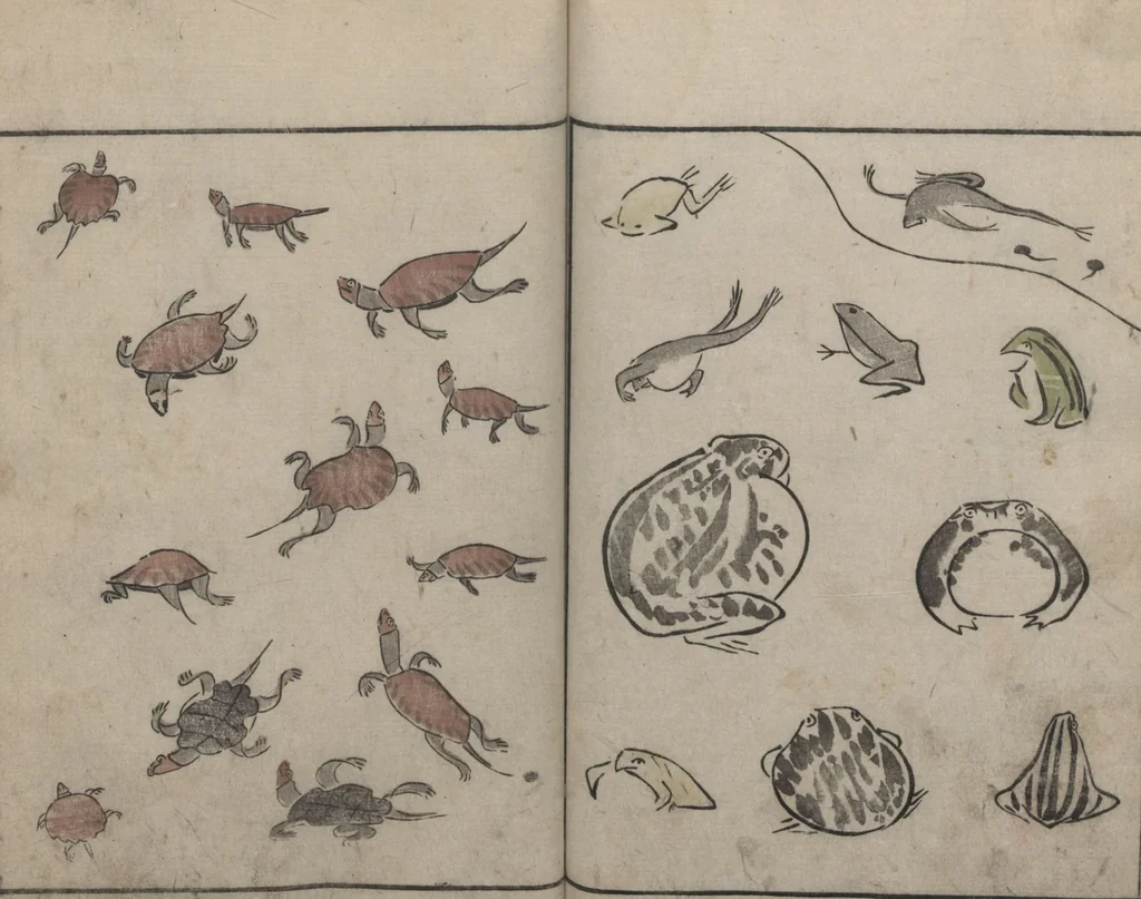 An illustration from Abbreviated Drawing Styles for Birds and Animals (Chōjū ryakuga shiki 鳥獣略画式), 1797, leaf 21