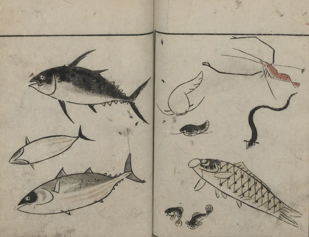 An illustration from Abbreviated Drawing Styles for Birds and Animals (Chōjū ryakuga shiki 鳥獣略画式), 1797, leaf 23