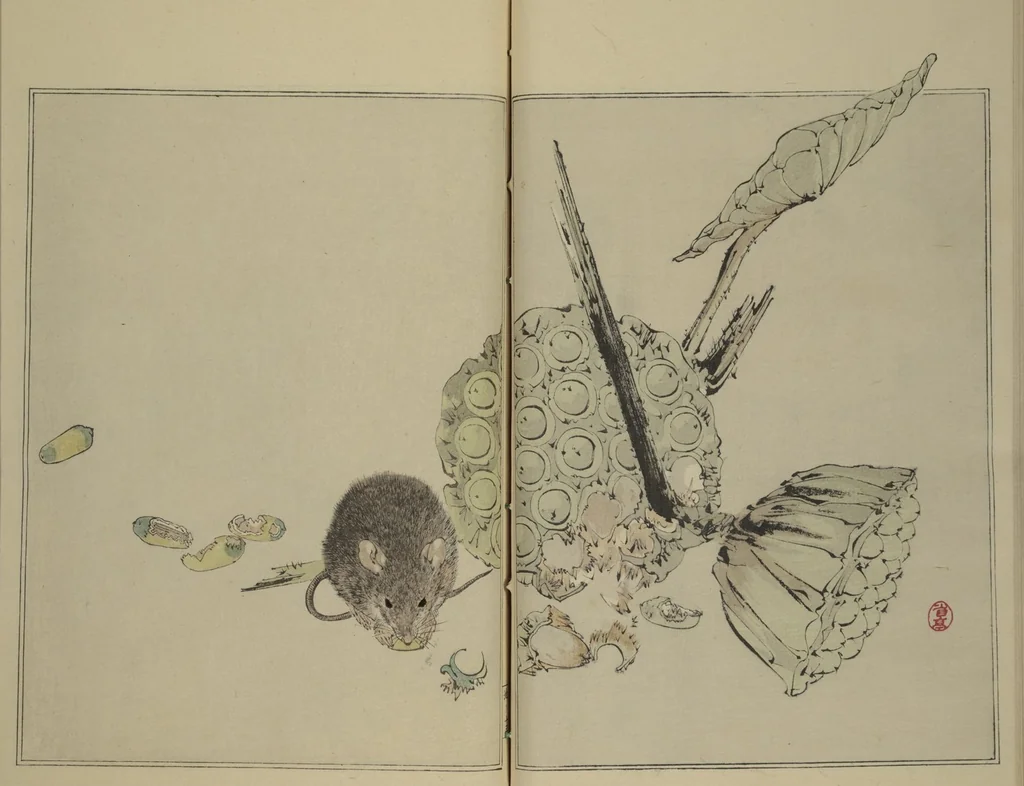 An illustration from Picture Album of Birds and Flowers (Seitei Kachō gafu) : [volume 2], 1890, leaf 17