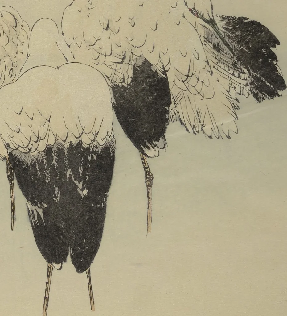An illustration from Picture Album of Birds and Flowers (Seitei Kachō gafu) : [volume 2], 1890, leaf 23
