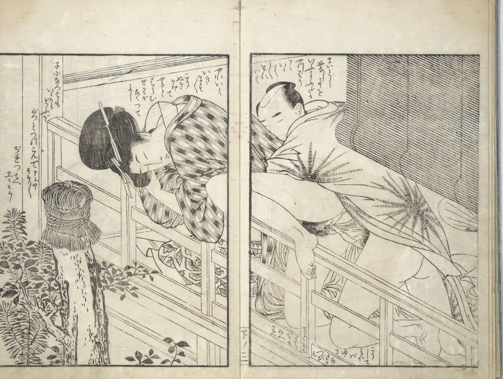 An illustration from Picture Book of the Hitachi Obi (Enpon futahashira) : [volume 3], 1803, leaf 5