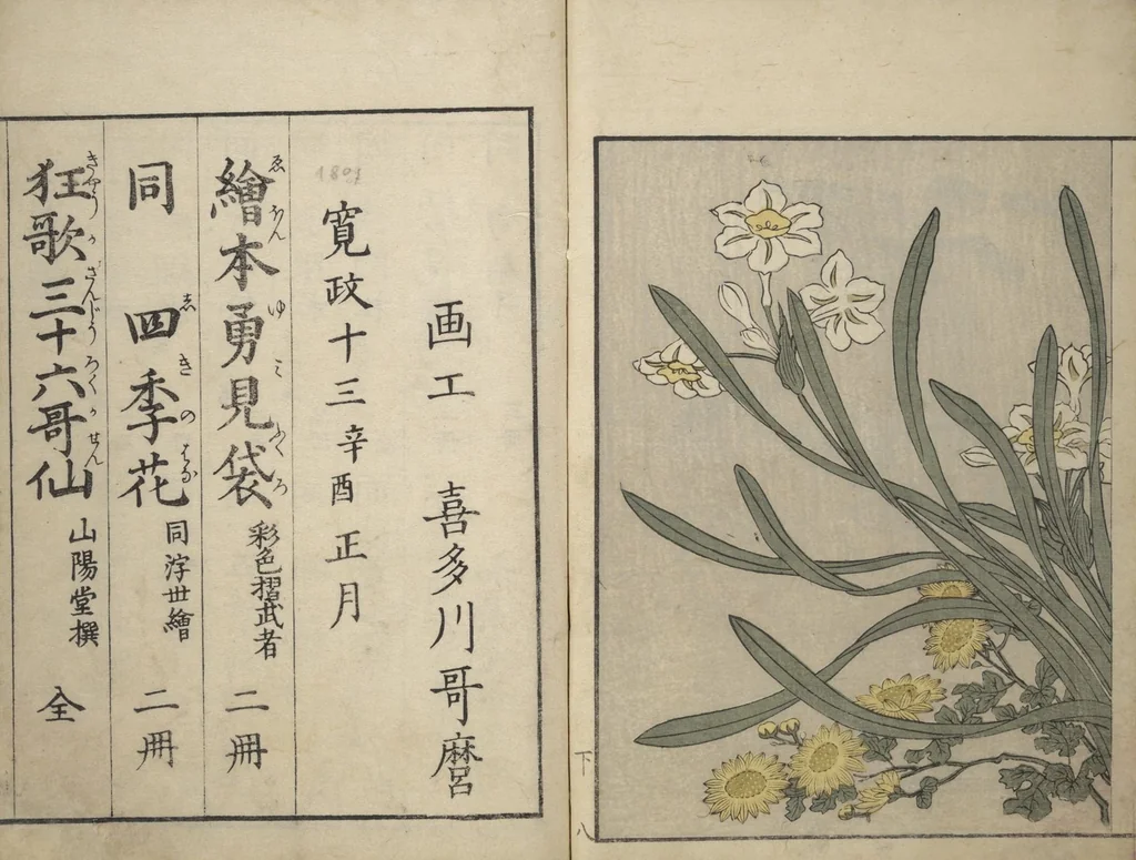 An illustration from Picture Book on Flowers of the Four Seasons (Ehon shiki no hana) : [volume 2], 1801, leaf 10