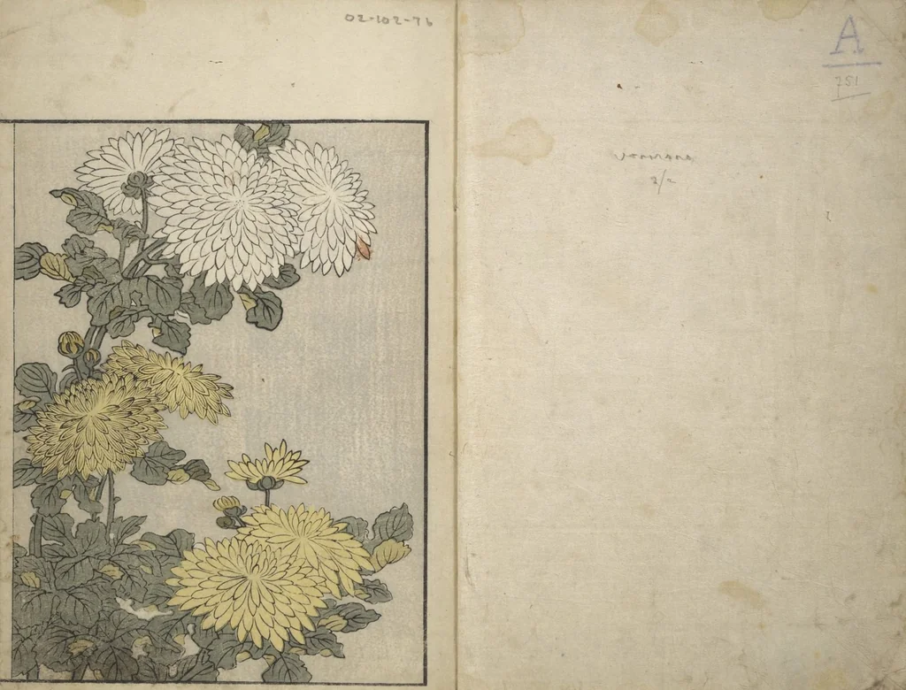 An illustration from Picture Book on Flowers of the Four Seasons (Ehon shiki no hana) : [volume 2], 1801, leaf 2
