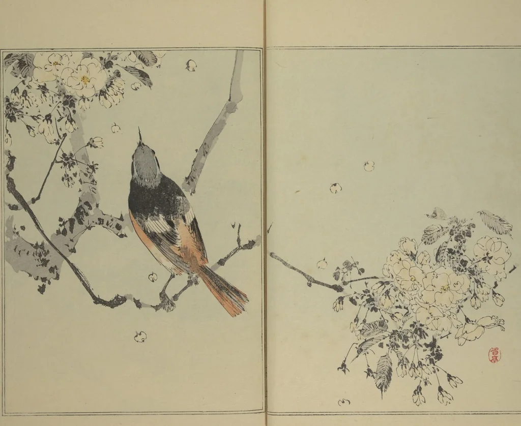 An illustration from Picture Album of Birds and Flowers (Seitei Kachō gafu) : [volume 1], 1890, leaf 12