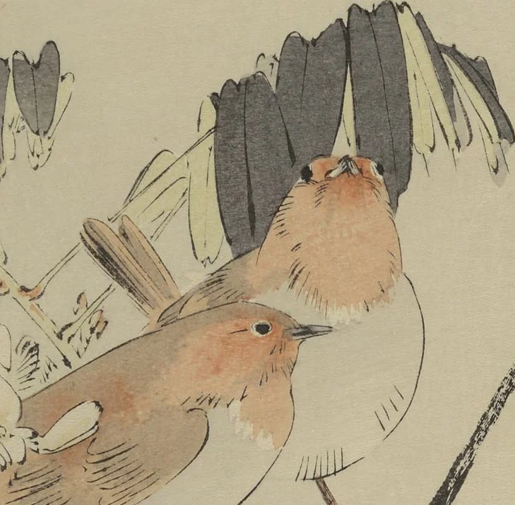 An illustration from Picture Album of Birds and Flowers (Seitei Kachō gafu) : [volume 1], 1890, leaf 14
