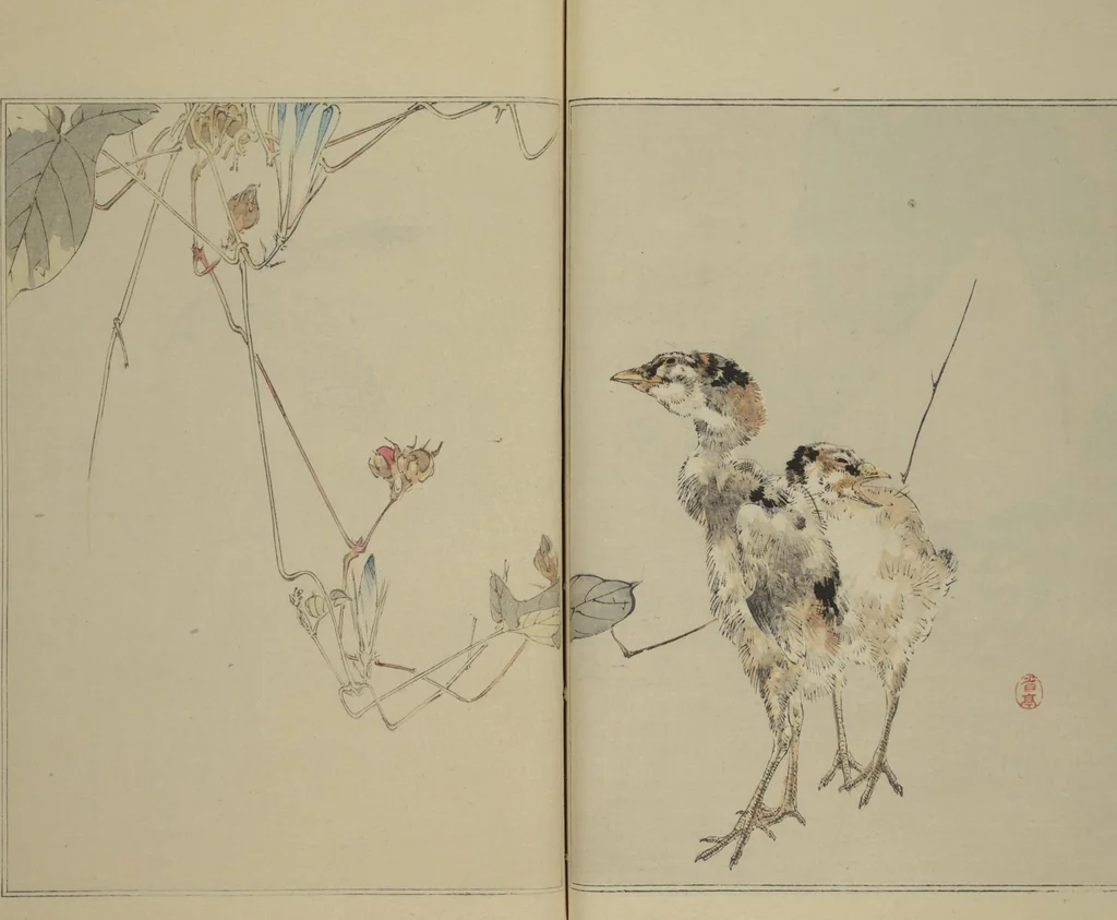 An illustration from Picture Album of Birds and Flowers (Seitei Kachō gafu) : [volume 1], 1890, leaf 19