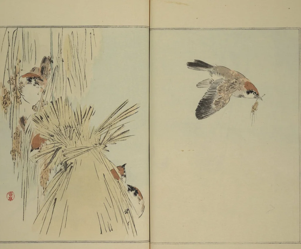 An illustration from Picture Album of Birds and Flowers (Seitei Kachō gafu) : [volume 1], 1890, leaf 20