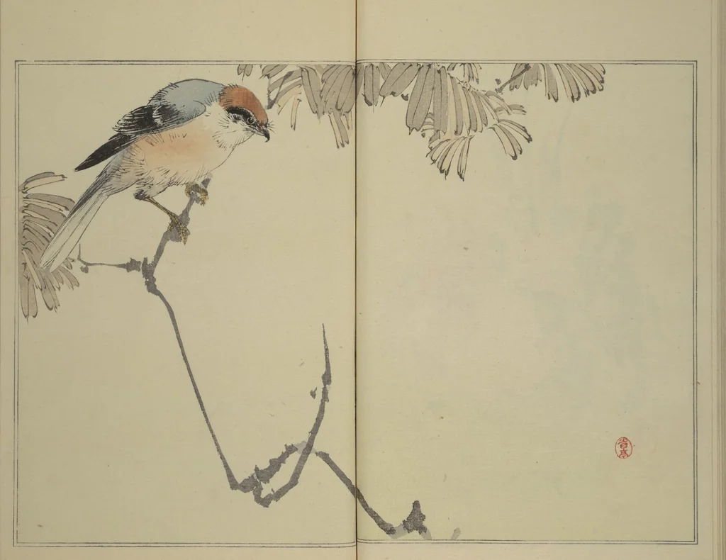 An illustration from Picture Album of Birds and Flowers (Seitei Kachō gafu) : [volume 1], 1890, leaf 23