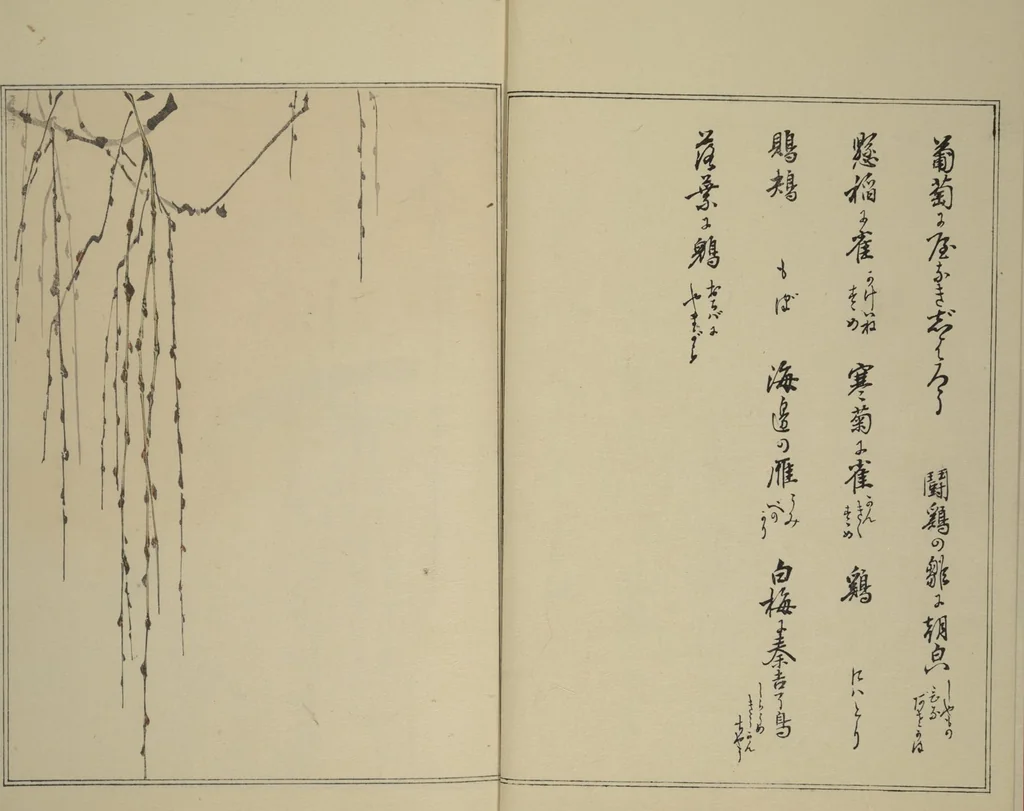 An illustration from Picture Album of Birds and Flowers (Seitei Kachō gafu) : [volume 1], 1890, leaf 5