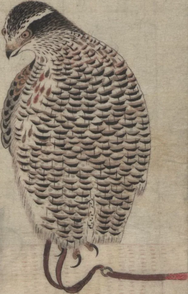 An illustration from Album of Sketches for Lacquer Decoration (Makie shitae no zu? 蒔絵下絵の図), 1839, leaf 2