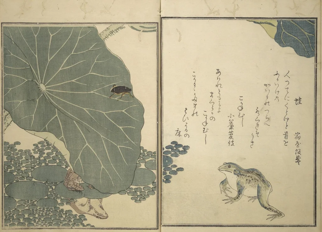 An illustration from Picture Book of Selected Insects (The Insect Book) (Ehon mushi erami) : [volume 2], 1788, leaf 10