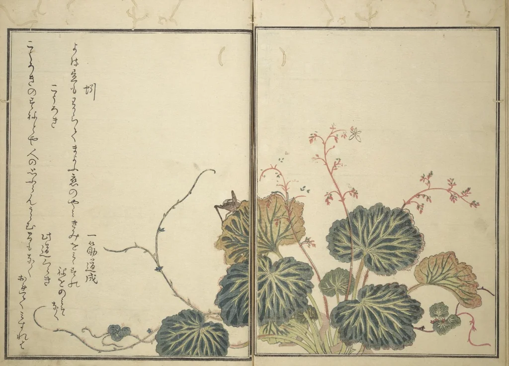 An illustration from Picture Book of Selected Insects (The Insect Book) (Ehon mushi erami) : [volume 2], 1788, leaf 9