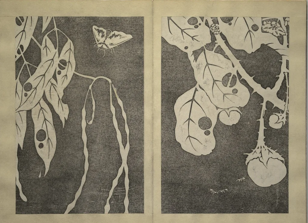 An illustration from Jakuchū Picture Album (Jakuchū gajō) : [volume 1], 1900, leaf 22