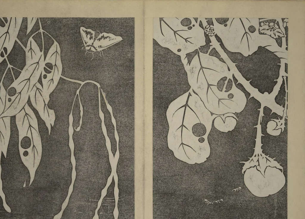 An illustration from Jakuchū Picture Album (Jakuchū gajō) : [volume 1], 1900, leaf 23