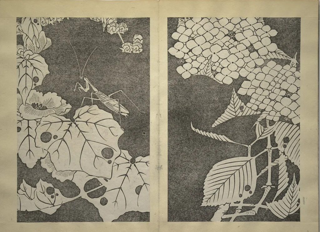 An illustration from Jakuchū Picture Album (Jakuchū gajō) : [volume 1], 1900, leaf 24