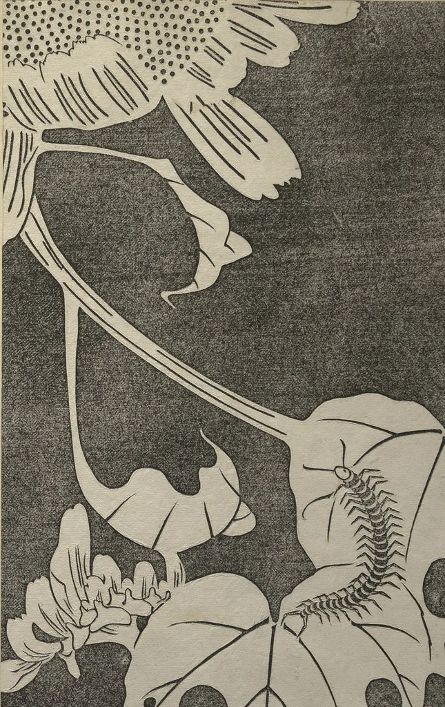 An illustration from Jakuchū Picture Album (Jakuchū gajō) : [volume 1], 1900, leaf 28