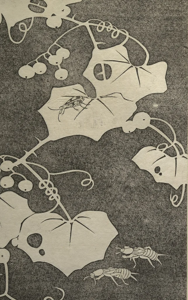 An illustration from Jakuchū Picture Album (Jakuchū gajō) : [volume 1], 1900, leaf 36