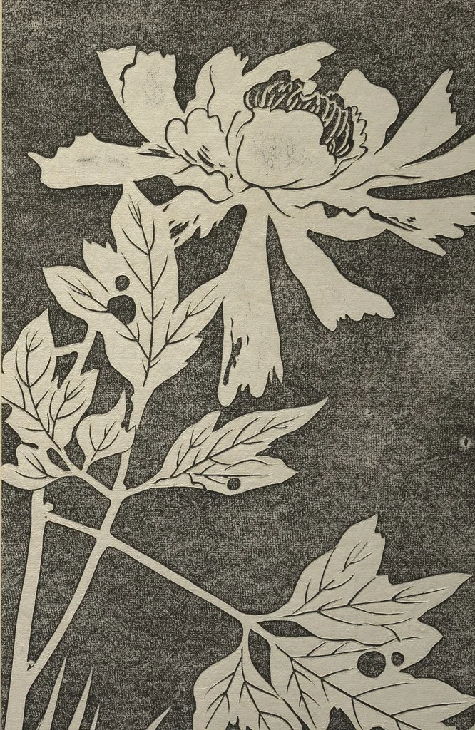 An illustration from Jakuchū Picture Album (Jakuchū gajō) : [volume 2], 1900, leaf 13