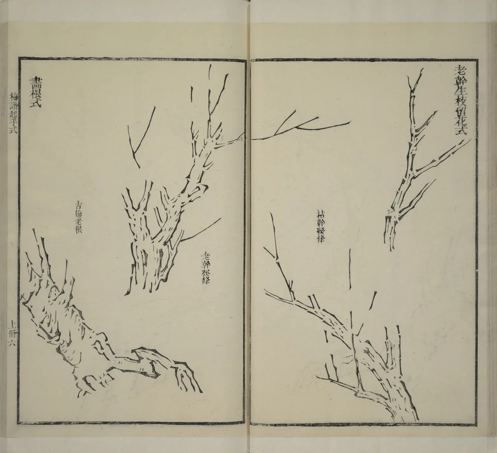 An illustration from Part 2 from The Mustard Seed Garden Painting Manual (3rd Chinese edition) : [volume 3], 1800, leaf 22