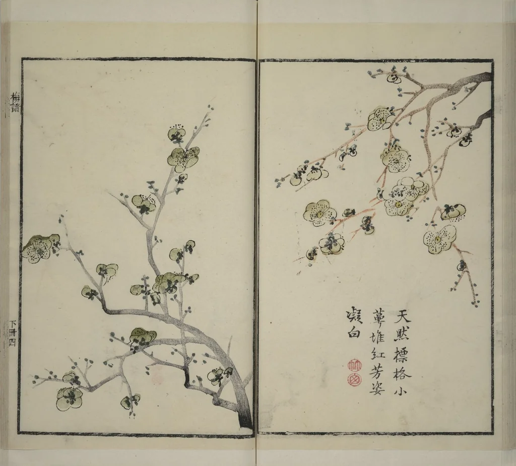 An illustration from Part 2 from The Mustard Seed Garden Painting Manual (3rd Chinese edition) : [volume 3], 1800, leaf 33