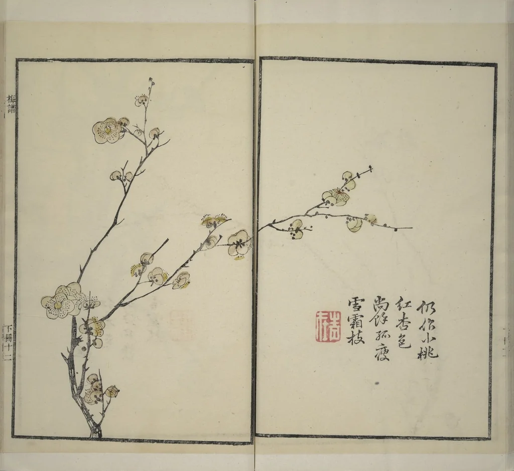 An illustration from Part 2 from The Mustard Seed Garden Painting Manual (3rd Chinese edition) : [volume 3], 1800, leaf 41