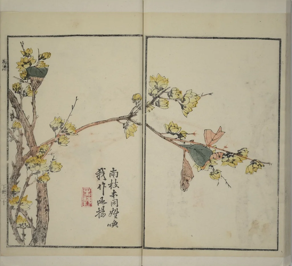 An illustration from Part 2 from The Mustard Seed Garden Painting Manual (3rd Chinese edition) : [volume 3], 1800, leaf 49