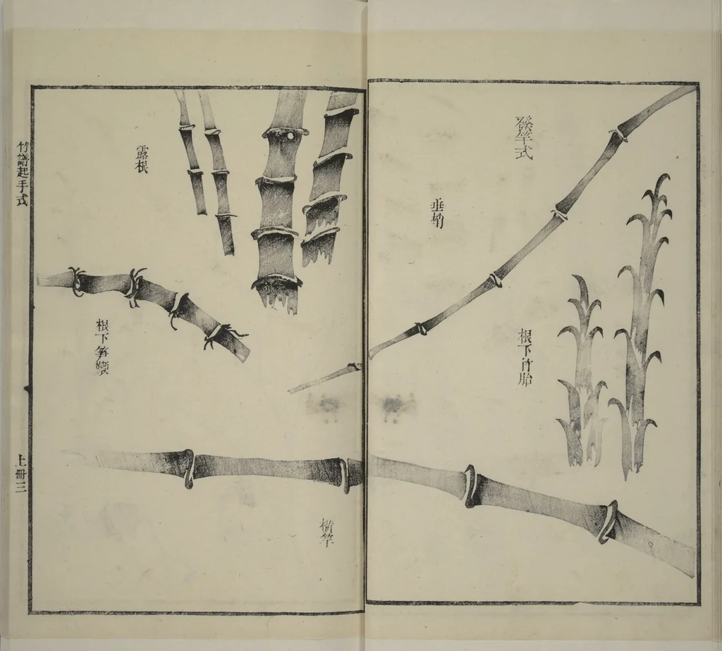 An illustration from Part 2 from The Mustard Seed Garden Painting Manual (3rd Chinese edition) : [volume 2], 1800, leaf 16