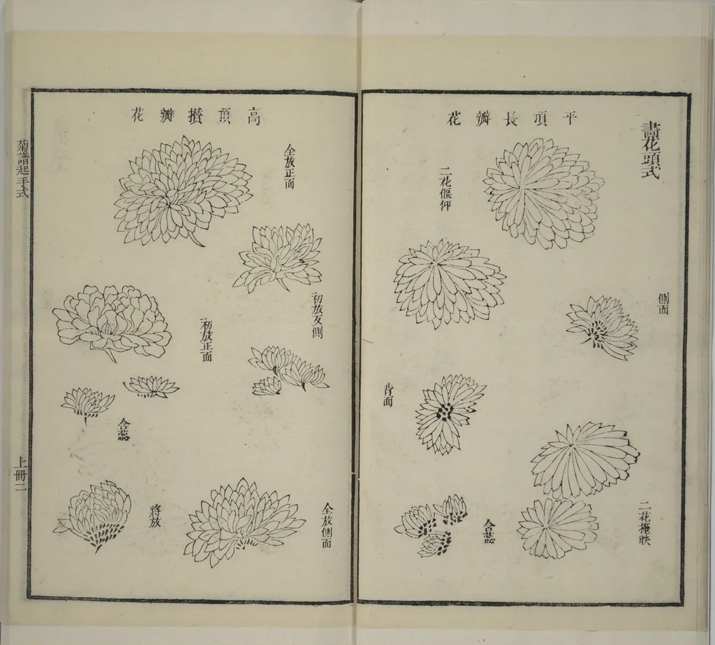 An illustration from Part 2 from The Mustard Seed Garden Painting Manual (3rd Chinese edition) : [volume 4], 1800, leaf 11