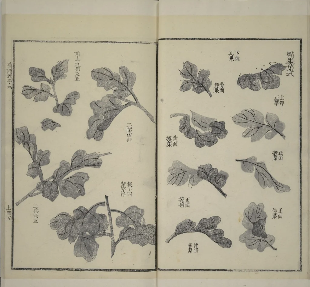 An illustration from Part 2 from The Mustard Seed Garden Painting Manual (3rd Chinese edition) : [volume 4], 1800, leaf 14