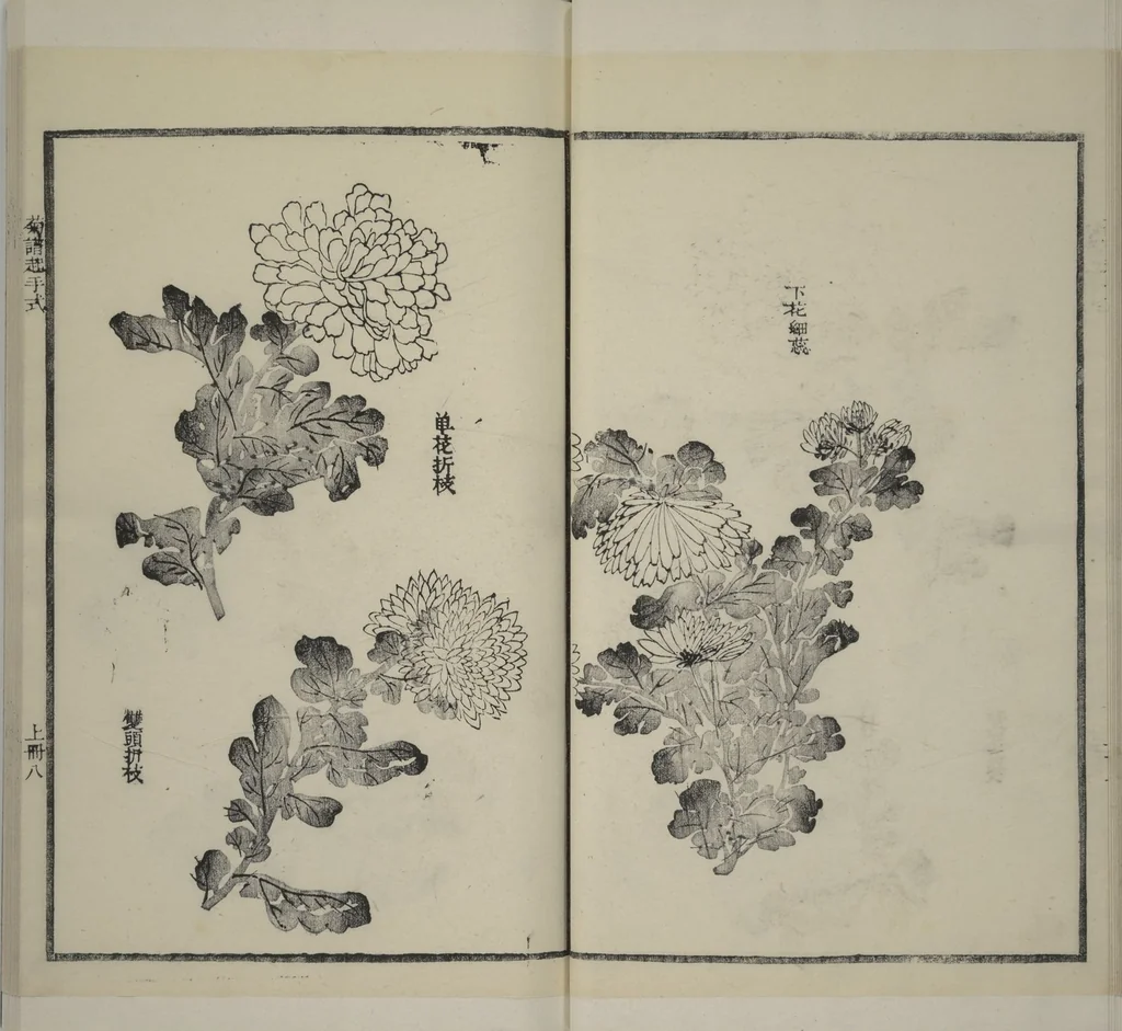 An illustration from Part 2 from The Mustard Seed Garden Painting Manual (3rd Chinese edition) : [volume 4], 1800, leaf 17