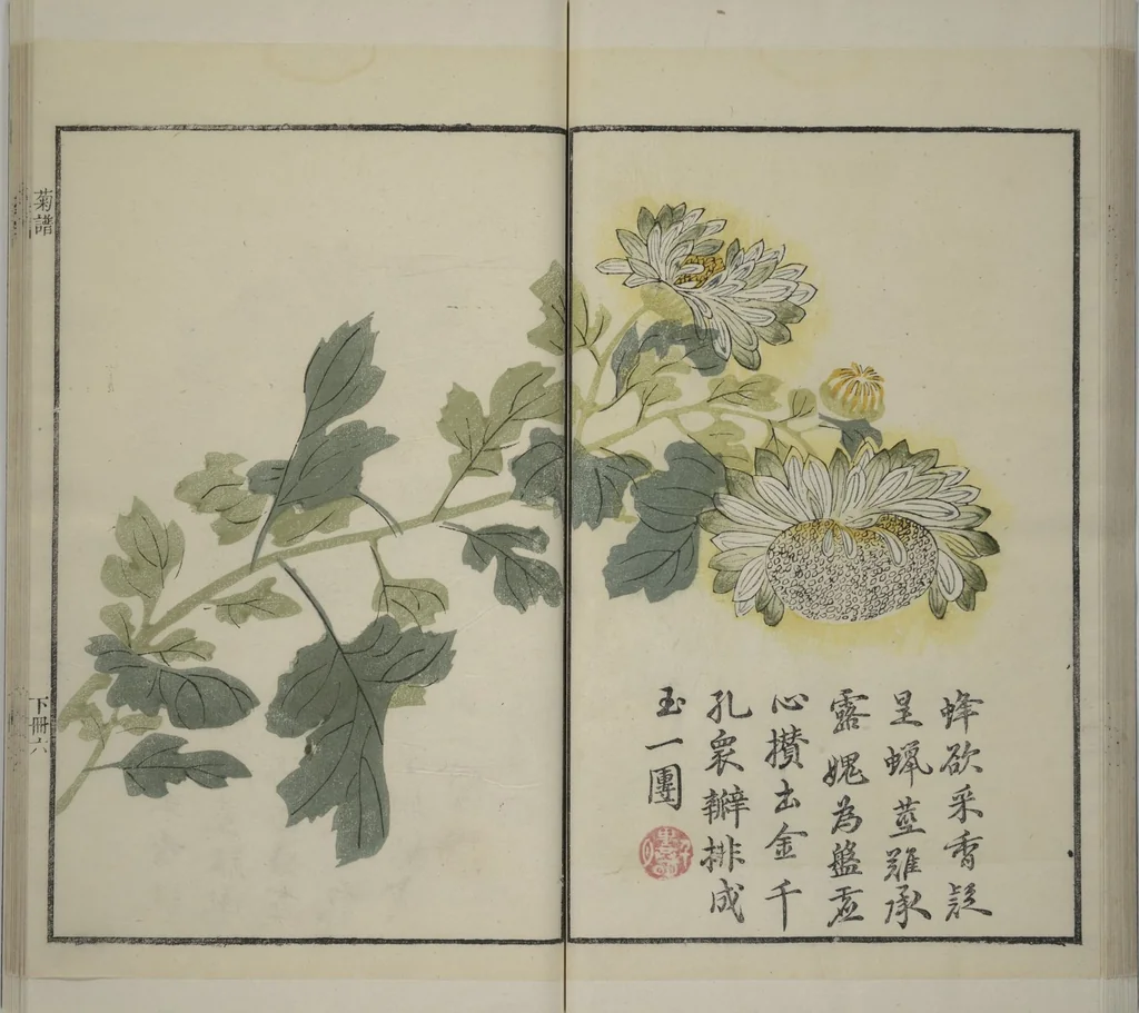 An illustration from Part 2 from The Mustard Seed Garden Painting Manual (3rd Chinese edition) : [volume 4], 1800, leaf 28