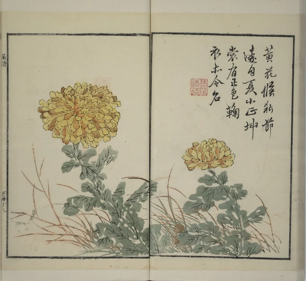 An illustration from Part 2 from The Mustard Seed Garden Painting Manual (3rd Chinese edition) : [volume 4], 1800, leaf 40