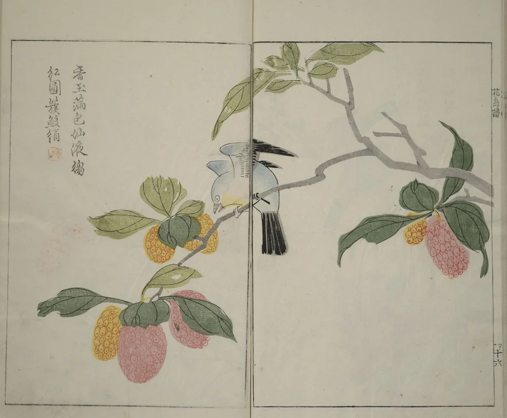 An illustration from The Mustard Seed Garden Painting Manual : [volume 1], 1748, leaf 20