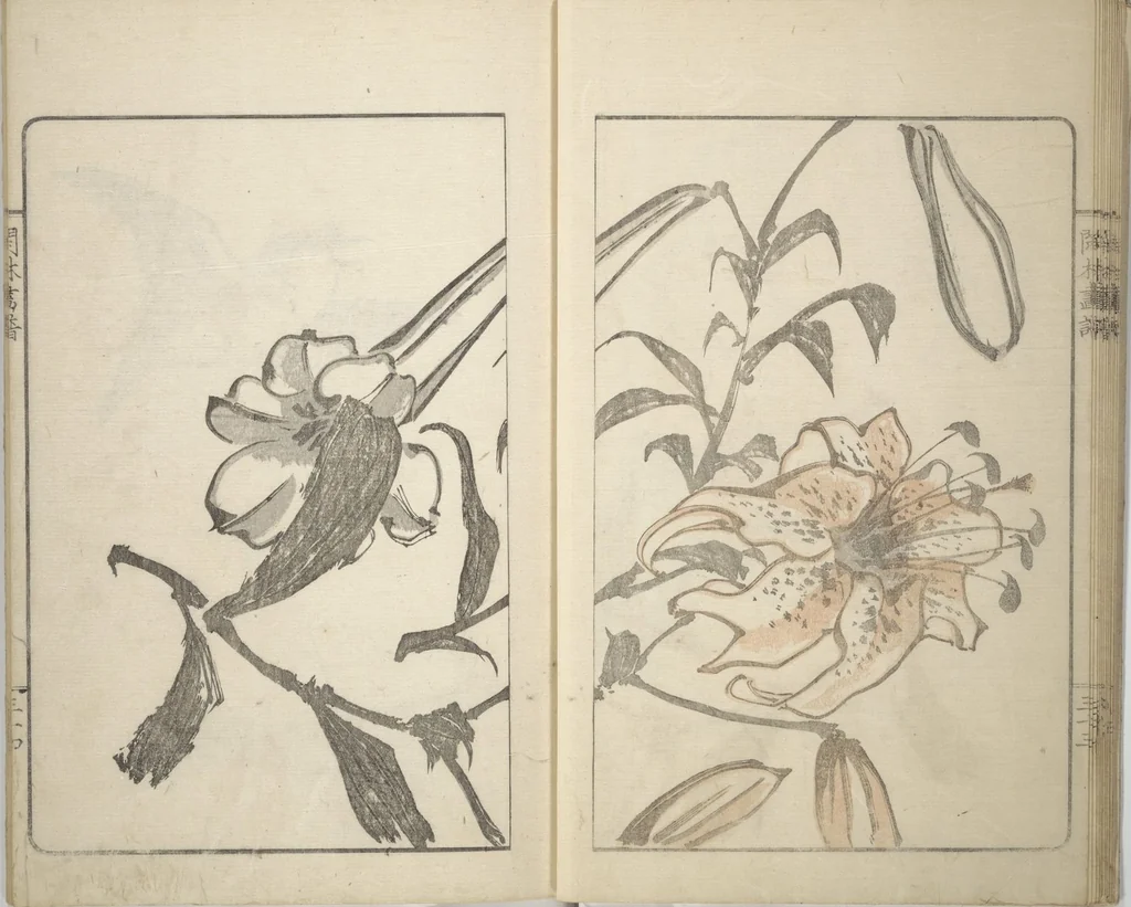 An illustration from Kanrin Picture Album (Kanrin gafu 閑林画譜) : [volume 2], 1845, leaf 14