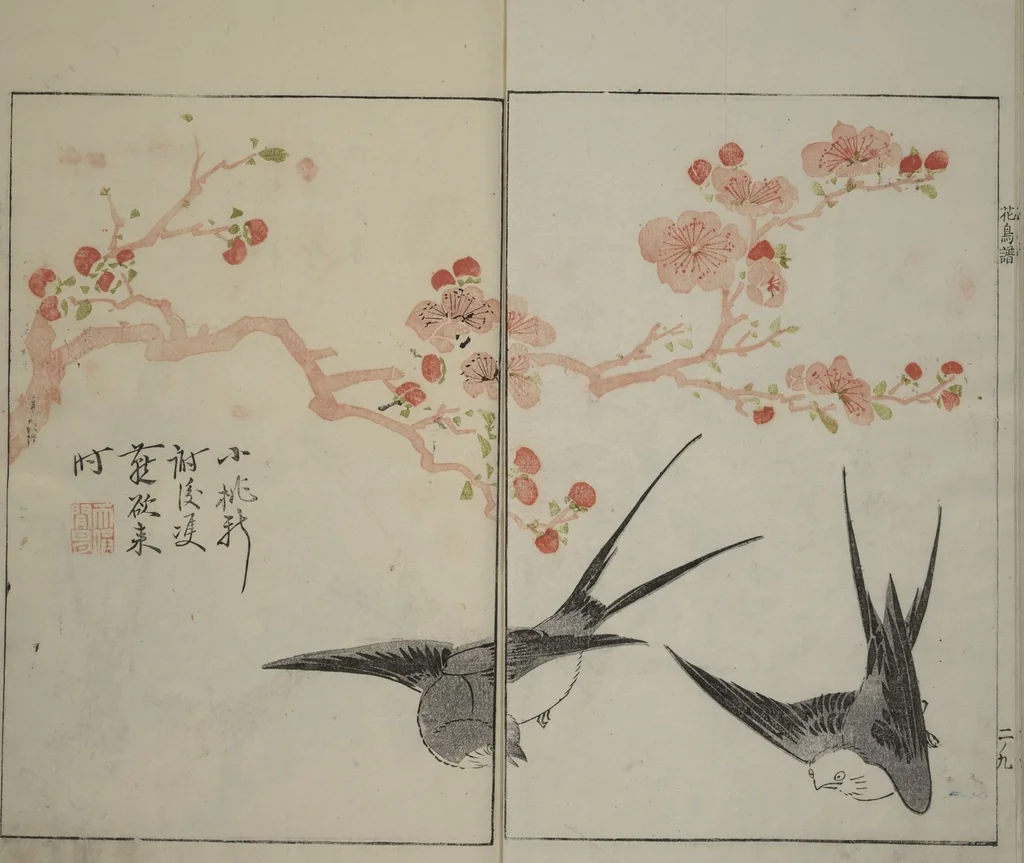 An illustration from The Mustard Seed Garden Painting Manual : [volume 2], 1748, leaf 11