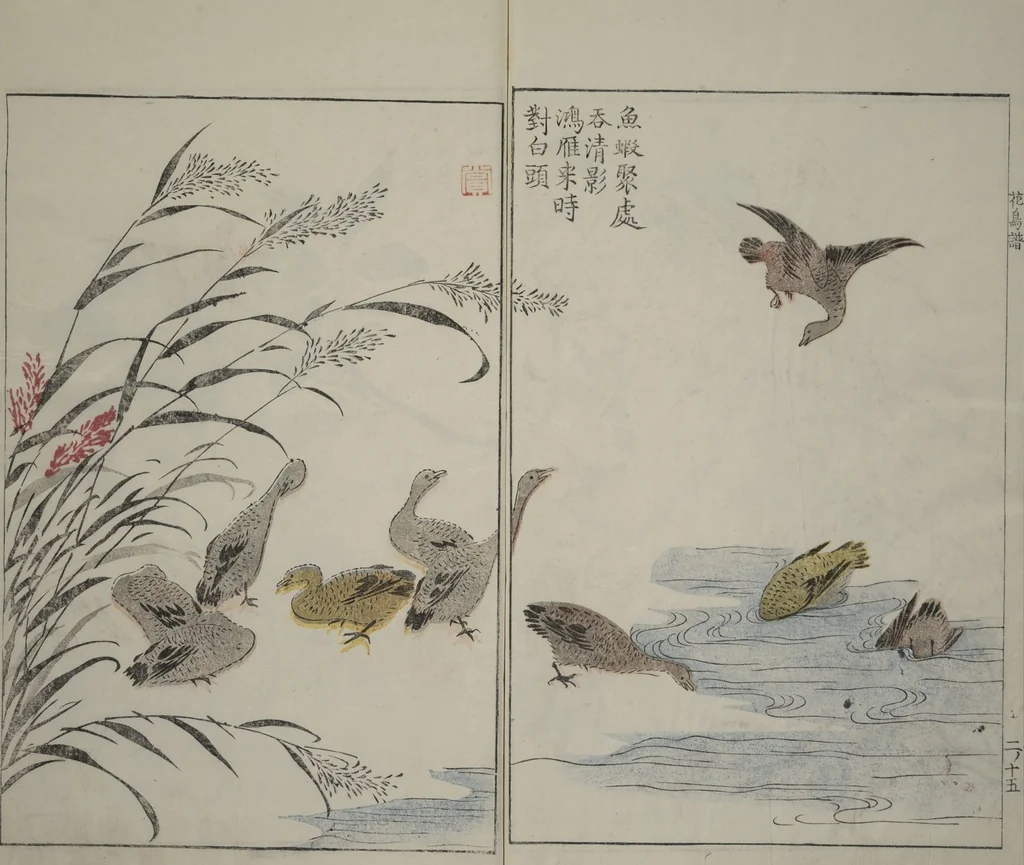An illustration from The Mustard Seed Garden Painting Manual : [volume 2], 1748, leaf 17