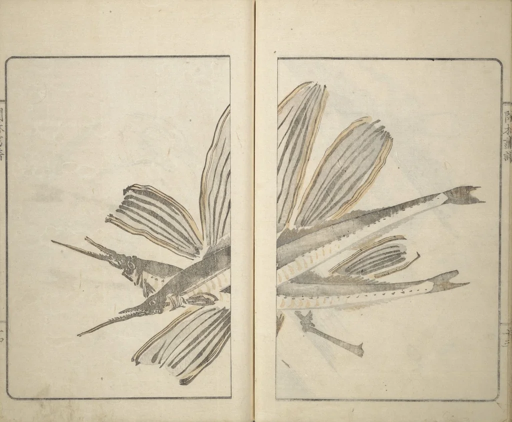 An illustration from Kanrin Picture Album (Kanrin gafu 閑林画譜) : [volume 1], 1845, leaf 19