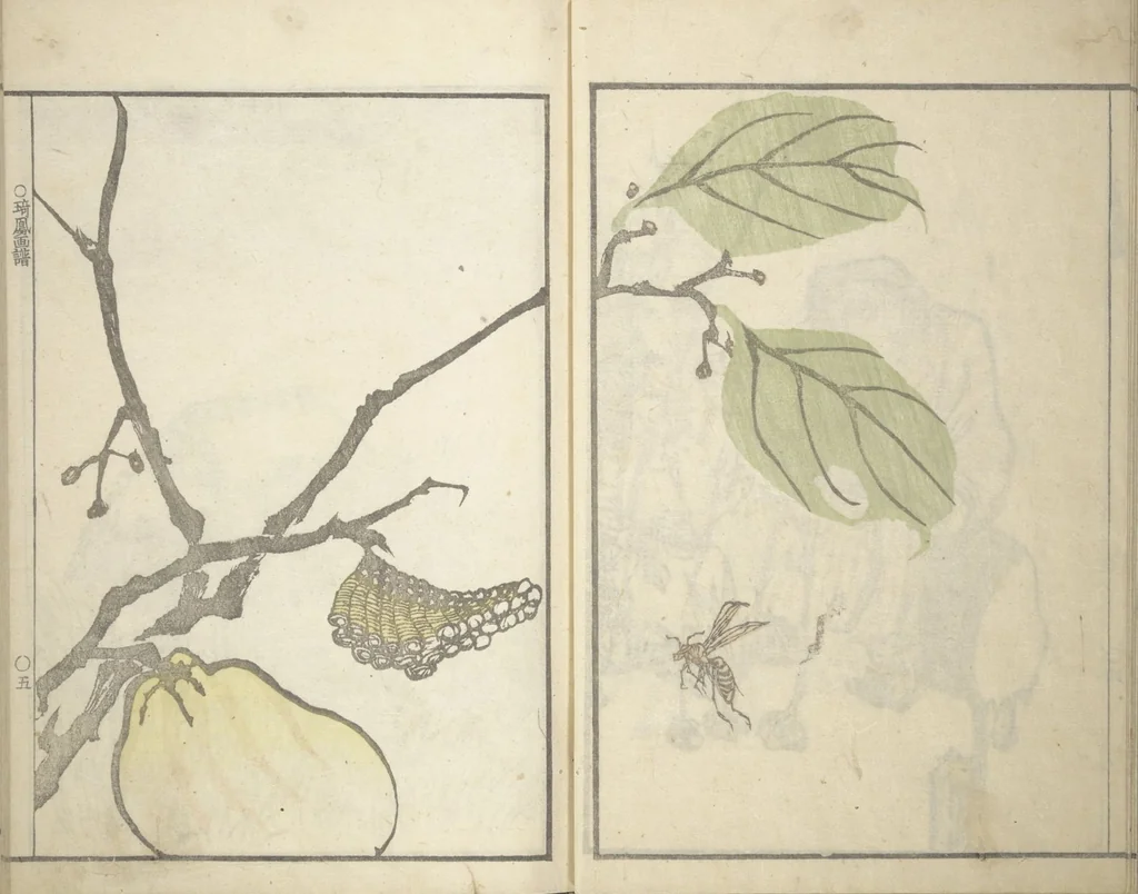 An illustration from Kihō Picture Album (Kihō gafu 埼鳳画譜), 1827, leaf 9