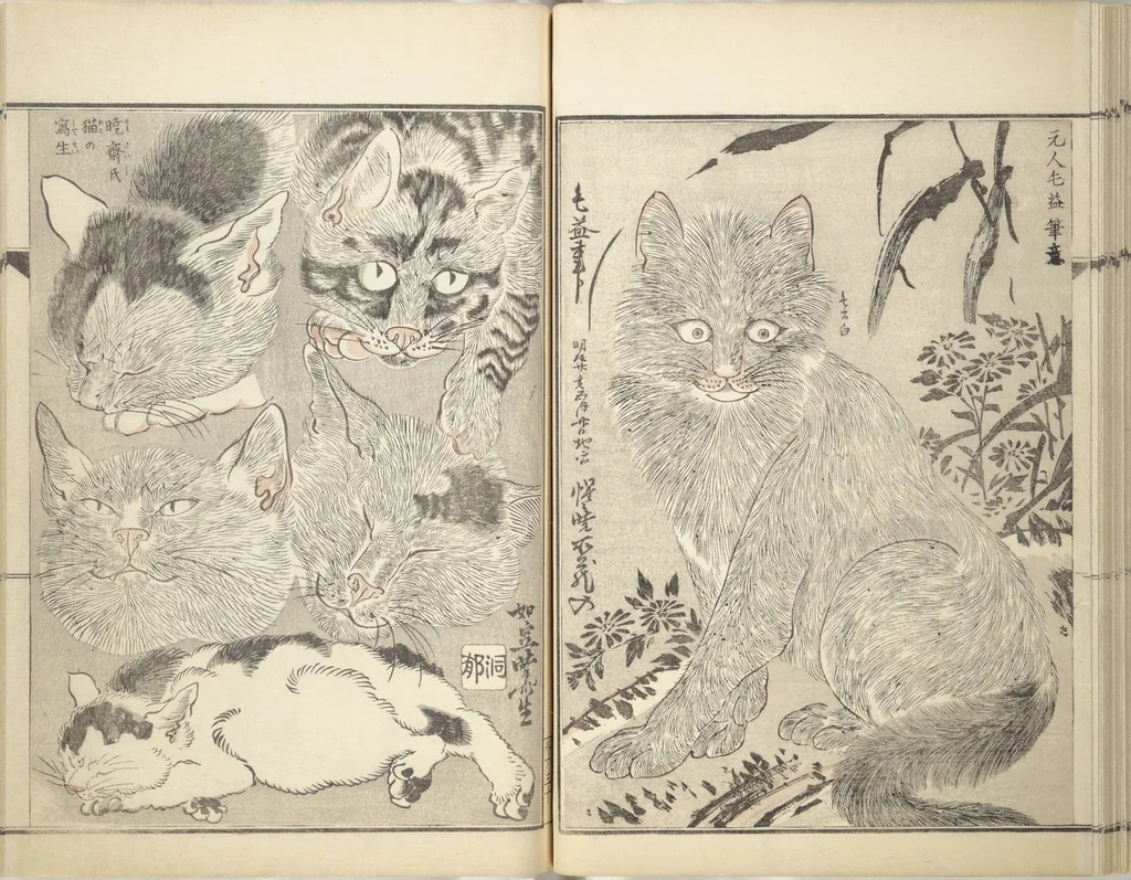 An illustration from Kyōsai’s Treatise on Painting (Kyōsai gadan) : [volume 3], 1887, leaf 30