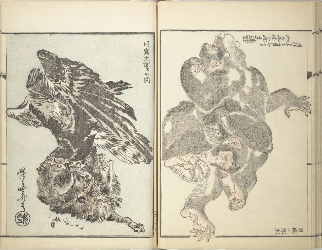 An illustration from Kyōsai’s Treatise on Painting (Kyōsai gadan) : [volume 3], 1887, leaf 31