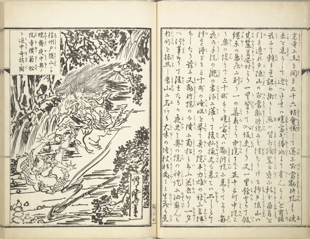 An illustration from Kyōsai’s Treatise on Painting (Kyōsai gadan) : [volume 4], 1887, leaf 11