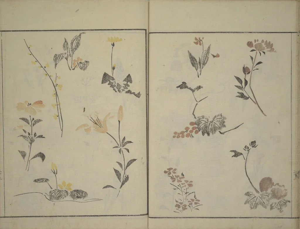An illustration from How to Draw Figures Simply (Jinbutsu ryakugashiki), 1795, leaf 24