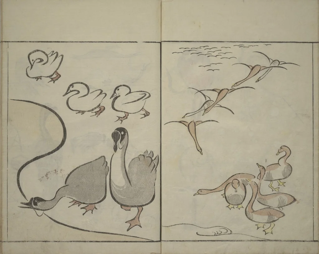 An illustration from How to Draw Birds, Insects and Fish Simply (Chōjū ryakugashiki), 1797, leaf 11